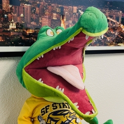 Image of gator at Twin Peaks
